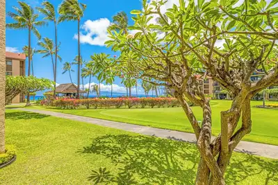Image de Papakea K105 Tropical Getaway at a Ground Floor Condo Oceanfront Resort
