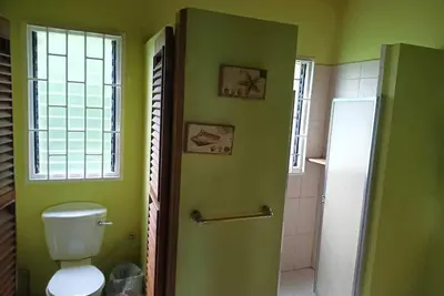 Image de The Bamboo