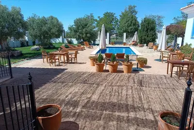Image de Cozy room among vineyards with breakfast (pets allowed)