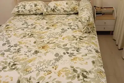 Cozy Beautiful Single Room