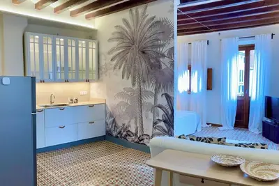Luxury Bright Modern Oasis with a view in the heart of historic Palma, Ac, WiFi