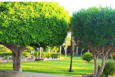 Image de Casa Joan a place to disconnect