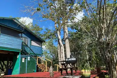 Image de Howler House Amazing Tree House by the river with bikes and canoe