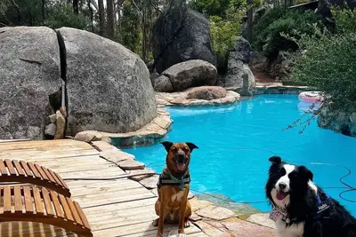 Image de Enclosed Dog‑Friendly Escape with Jacuzzi & Views