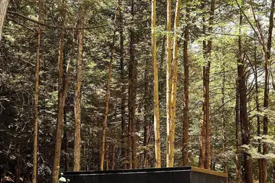 Image de Postcard Cabins Eastern Catskills