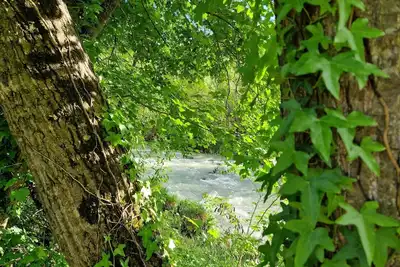 Image de House between Assisi and Perugia