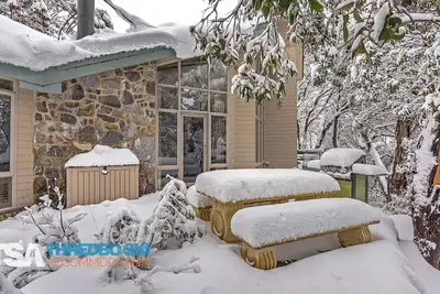 Image de Baroness - Woodridge