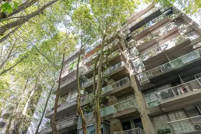 Image de Light and tranquility in the heights of Palermo