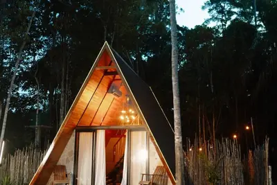 Image de Come and live a luxury experience in the Amazon