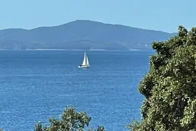 Image de Appartements Ivan (10427-A3) - Ivan Dolac - île de Hvar