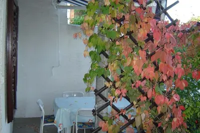 Image de Appartements Jerimih (10432-A4) - Sukosan (Zadar)