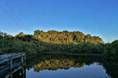 Image de Private Island Eco Retreat complete with resident Kiwi