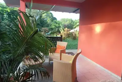 Image de Studio avec terrasse et jardin au coeur d'une pépinière de plantes amazoniennes