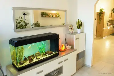 Image de The Green House - Suite with Garden view
