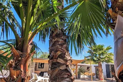 Image de Maison \"L'Olivette\" jacuzzi, piscine chauffée, billard, baby foot, à7KM de Nîmes