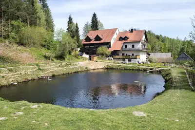 Image de Alluring Apartment in Schonsee in the Forest