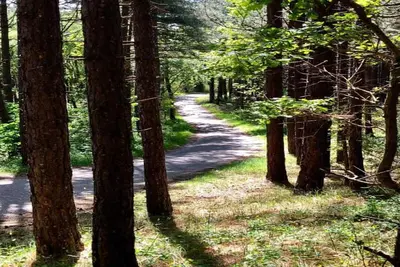 Image de Stunning Apartment in Schoorl, North Hollandaeu\\\"you can Bike to the Beach