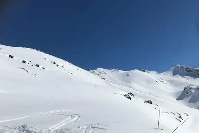 Image de Annonce non disponible