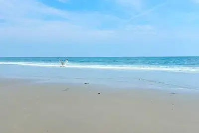 Image de Seaside retreat: Steps to beach, board walk. 3 car parking, deck, Bbq.