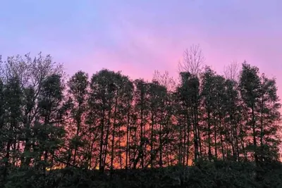 Image de Modern 3br Cottage! #1\n\n