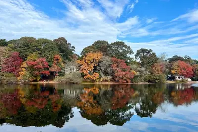 Image de Spacious 4-bedroom Lakefront cottage in picturesque Bourne