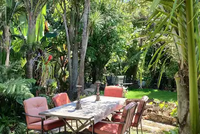 Image de Gaze over the Pacific Ocean\nListen to the birds. . . . . relax