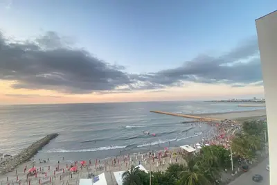 Image de Palmetto Eliptic-1004-1br