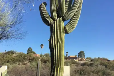 Image de Availability in March