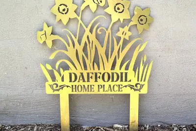 Image de Daffodil, Great location