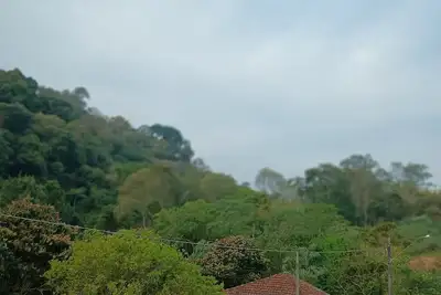 Image de Peace corner