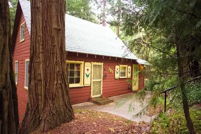 Image de 1940s Storybook Knotty Pine Cabin in Crestline, Absolute Privacy