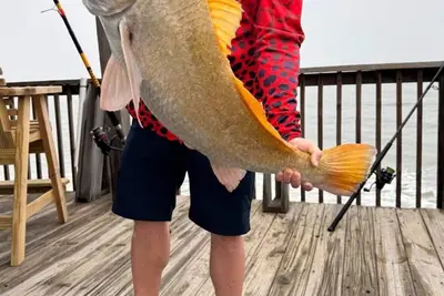 Image de Ocean front 3-bed 2 bath house. Fish right from the deck! Pets! Sunrises!