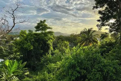 Image de #G Tropical Rainforest Retreat Ocean View w/hottub