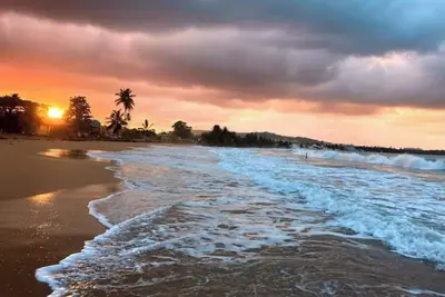 Image de #F Tropical Rainforest Retreat Ocean View w/hottub