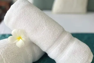 Image de Tropical Retreat with Spectacular Rooftop Rainforest & Ocean Views With Jacuzzi!