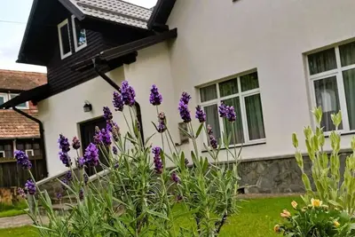 Image de Vila Panduri 23, Bușteni – A Hidden Gem in Romania’s Carpathian Mountains