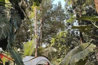 Image de Tree Camping Tent: Hacienda Monte Rey\n\n