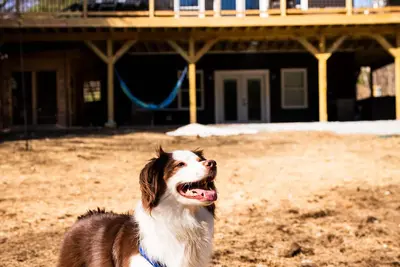 Image de The Perfect Modern Killington Getaway\nHot tub-Sauna-Movie Room-Speakeasy-Views!