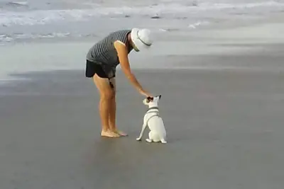 Image de Snowbirds @ Kiawah Island  3bd, 2ba