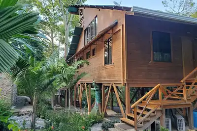 Image de Treehouse in the Canopy close to beach - large garden with trails - Pavones wave