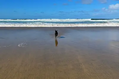 Image de In heart of Perranporth and only a stones throw away from the beach