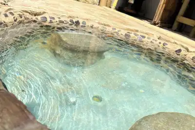 Image de Enjoy a magical stay in glamping green view with a private jacuzzi.