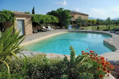 Image de Gite de l'Olivier 8 personnes avec piscine et jardin arboré en Provence!