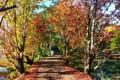 Image de Large Secluded Family Home. Pet & Children friendly, Pool, Fire Pit. Wildlife,