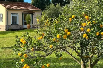 Image de Vacation home for 2 guests with 30m² in Olvera (267494)