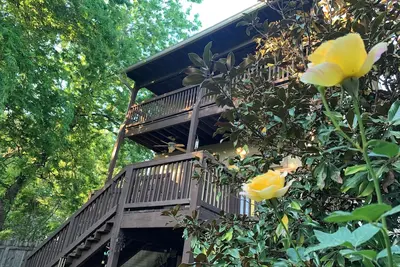 Image de East Austin House near downtown - Prime Walkability - 1 king bed, 2 queen beds