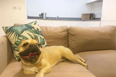 Image de Pet-Friendly Birmingham City Stay, Sleeps 4