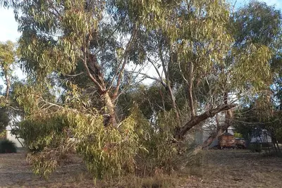 Image de Orchid Lane Cottages