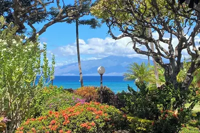 Image de Steps to Turtles! ! West Maui, Kuleana Resort Unit 505, oceanfront!