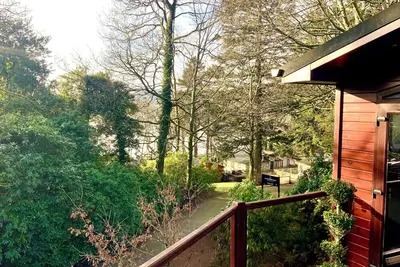 Tree House, Partial Lake Views, pet friendly in Windermere